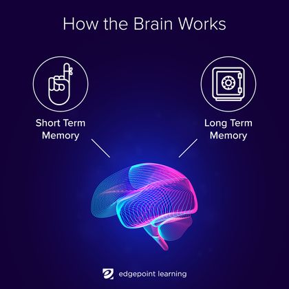 How the brain works